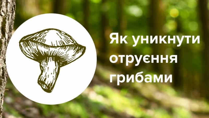 Як запобігти отруєнь дикорослими грибами
