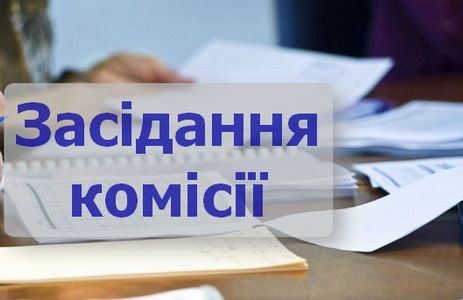 Висновок комісії щодо розгляду звернень фізичних чи юридичних осіб у сфері містобудівної діяльності