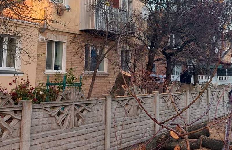 Працівники КП «Макарів-ВУЖКГ» проводять роботу з упорядкування зелених насаджень