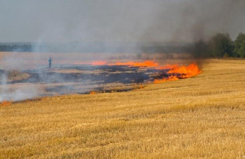 Інформація для сільськогосподарських та агропромислових підприємств Макарівської селищної територіальної громади
