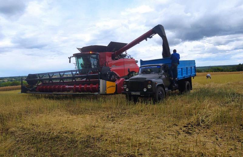 На Київщині почали збирати врожай зернових