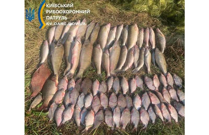 Виявлено грубе порушення правил рибальства та викрито порушника, який завдав майже 208 тис. грн збитків