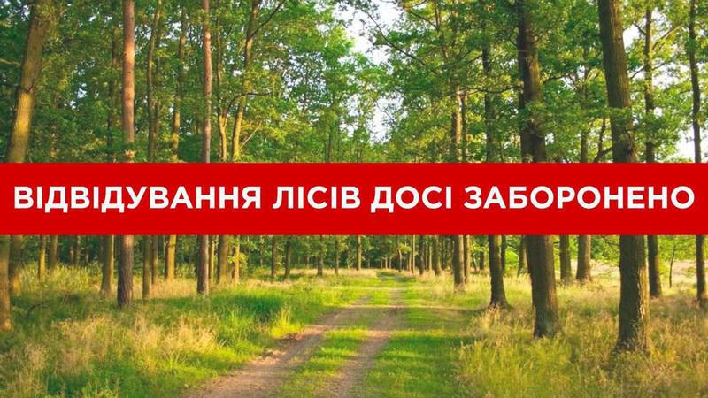 Нагадуємо, що на час дії правового режиму воєнного стану заборонено відвідування лісів