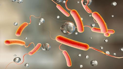 Загроза холери в Україні: як себе захистити