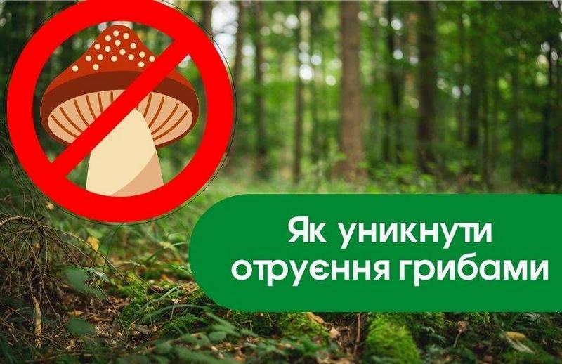Як запобігти отруєнь дикорослими грибами