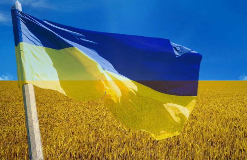 Становлення та утвердження Державного Прапора України