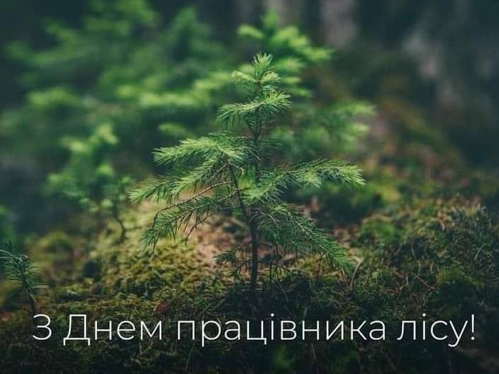 Привітання селищного голови з Днем працівника лісу