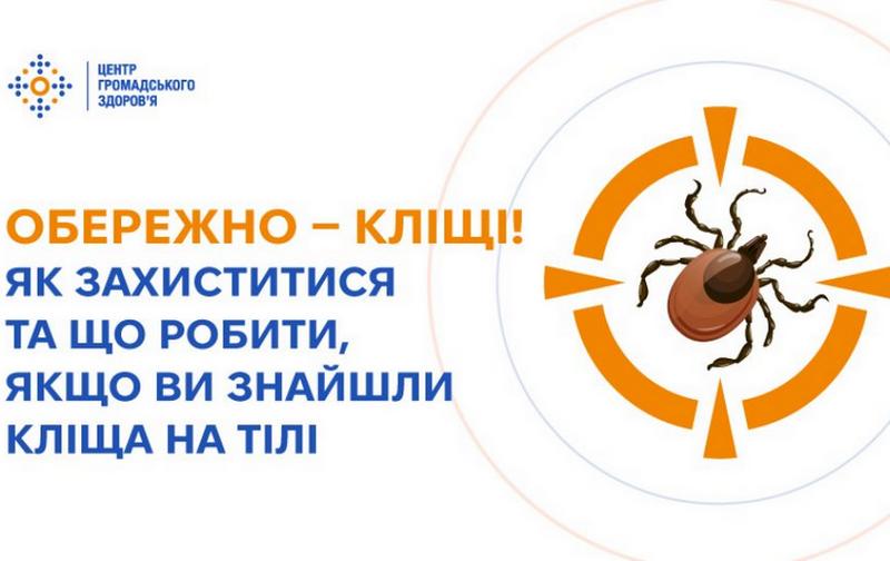 Обережно — кліщі! Як захиститися та що робити, якщо помітили на собі кліща