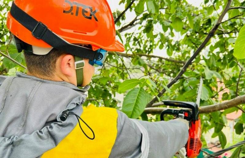Енергетики спільно з громадами Київщини розчистили майже 1,5 тис. кілометрів трас електромереж для запобігання аваріям
