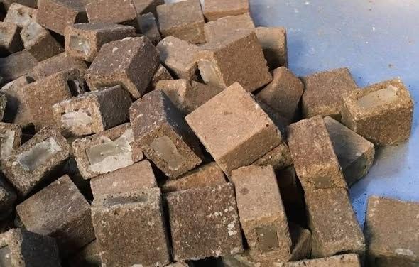 Пероральна імунізація диких м’ясоїдних тварин проти сказу в Бучанському районі
