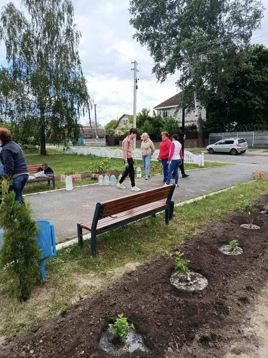 Мешканці громади висаджують кущі гортензії