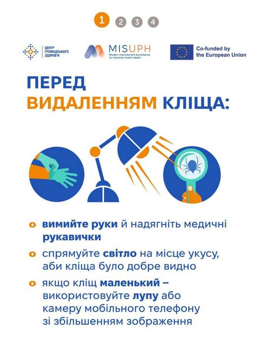 Брошура: Що робити перед видаленням кліща