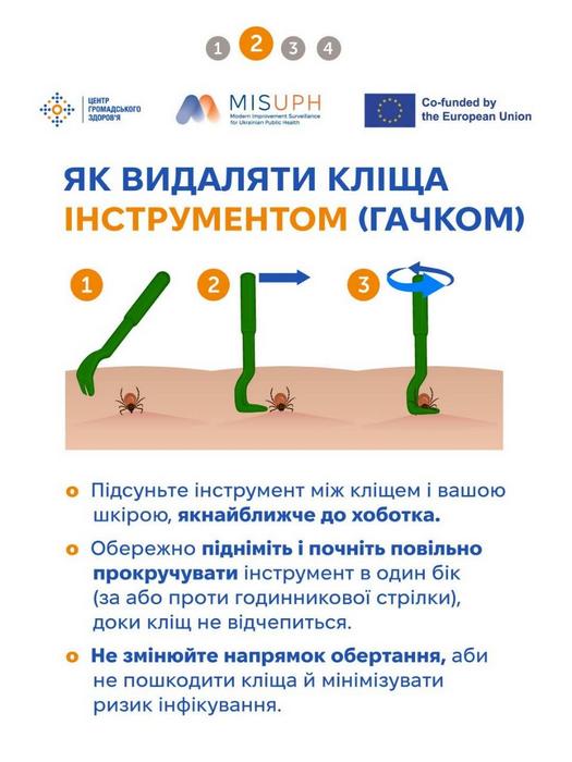 Брошура: Як видаляти кліща інструментом (гачком)