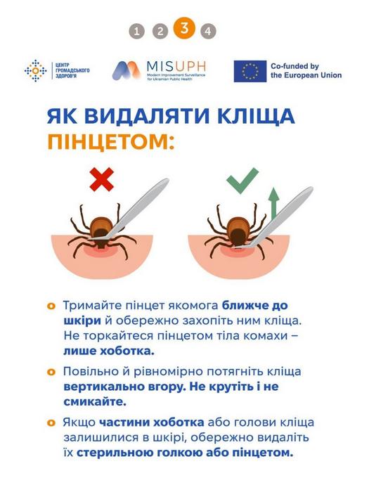 Брошура: Як видаляти кліща пінцетом