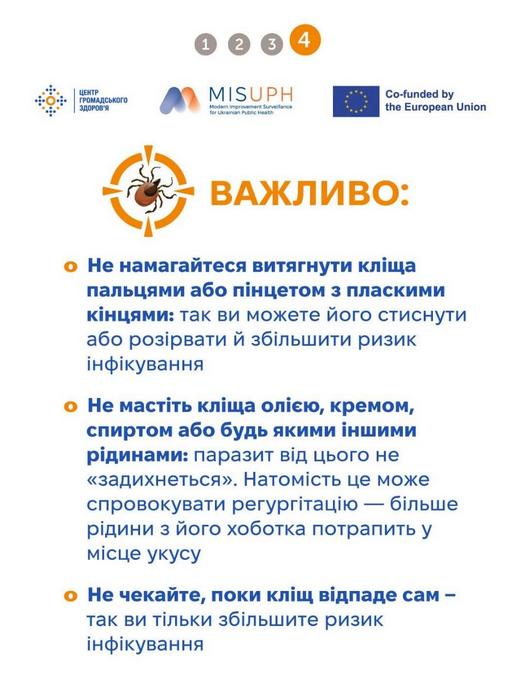 Брошура: Що не можна робити при видаленні кліща
