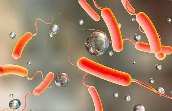 🦠 Що треба знати про холеру: симптоми, шляхи зараження та профілактика