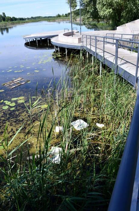 Набережна в парку, де в очереті біля амфітеатру у воді плаває викинуте побутове сміття та шматки пінопласту.