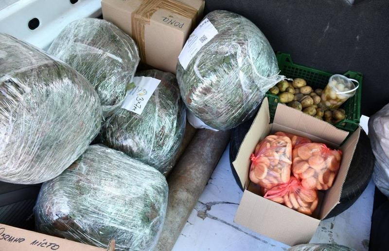 Пакунки з маскувальними сітками, коробки з абрикосами та картопля у багажнику автомобіля для допомоги захисникам.