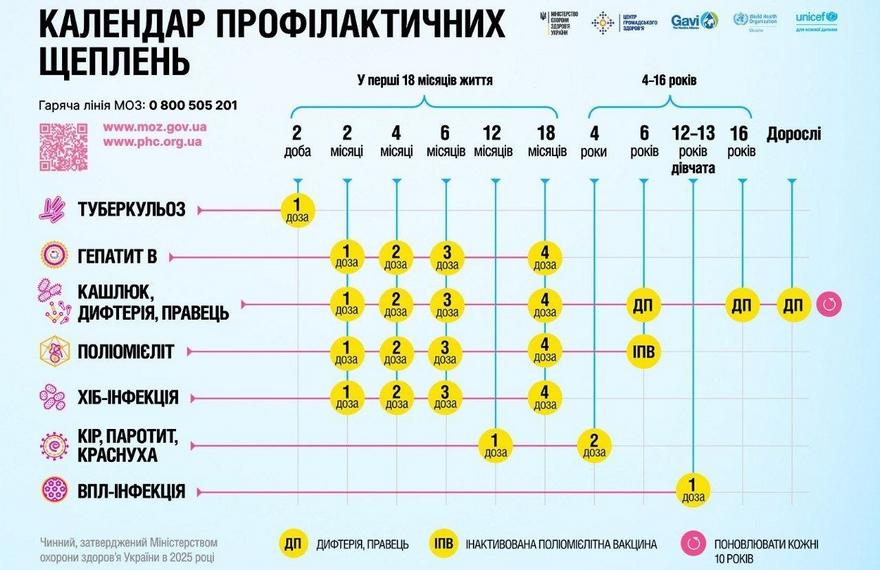 Інфографіка МОЗ України «Календар профілактичних щеплень» із графіком вакцинації дітей від 2 доби життя до 16 років та дорослих.