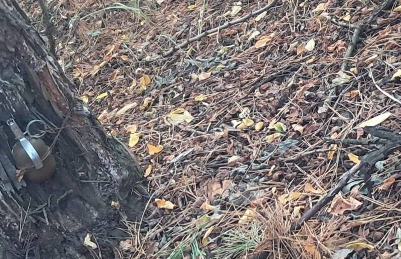 Ручна граната на розтяжці біля основи дерева серед опалого листя та гілок.
