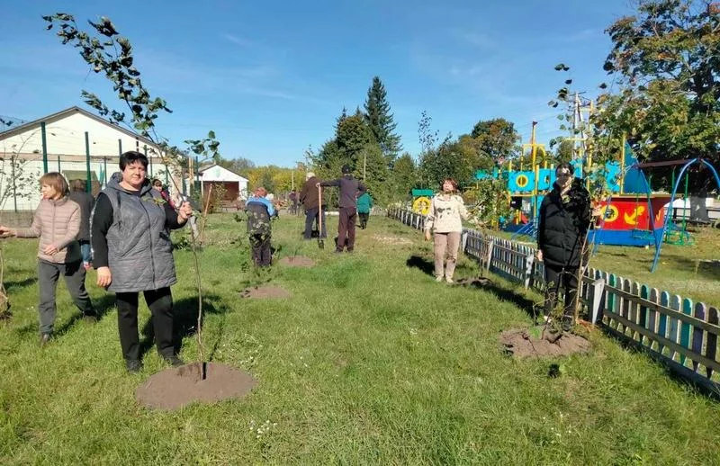 Учасники акції стоять уздовж ряду щойно висаджених молодих дерев липи біля дитячого майданчика у сонячний день.