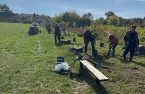 Мешканці села працюють на ділянці землі, висаджуючи молоді саджанці липи. Кілька людей копають ями та встановлюють дерева, поруч стоїть сільськогосподарська техніка та дерев'яна лавка з інструментами.